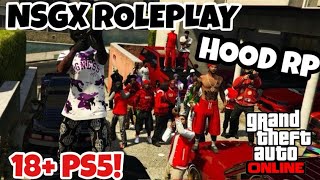 GTA 5 PS5 NSGX Entertainment RP 1 community on gta [upl. by Notnek]