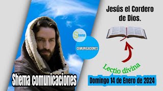 Lectio divina Domingo 14 de Enero de 2024 de la Semana 02 del T O [upl. by Annaerb]