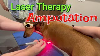 Leg Amputation vs Laser Therapy Help us Decide [upl. by Acir]