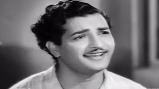 Missamma Movie  Kaavalante Istaale Video Song  NTR ANR SVR Savitri Jamuna [upl. by Adnert663]