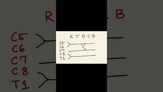 Brachial plexus part1 neetpg science mbbsstudent medicine [upl. by Bernardina]