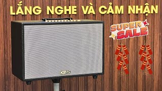 So Sánh Loa Acnos Flac 36 amp Loa Acnos CS3600 Loa Nào Hay Hơn [upl. by Dru]