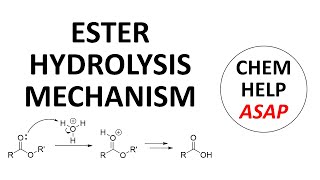 acidcatalyzed mechanism of ester hydrolysis [upl. by Udela882]