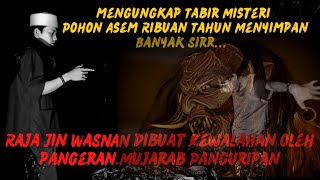 MBOLANG MENGUNGKAP MISTERI POHON ASEM RIBUAN TAHUN YANG GAK BISA DIROBOHKAN ULAH RAJA JIN WASNAN ❗ [upl. by Tiram]