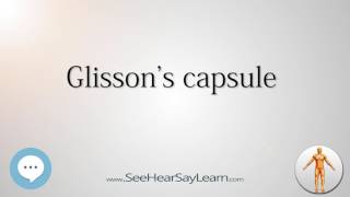 Glissons capsule Anatomy Named After People 🔊 [upl. by Ariela]