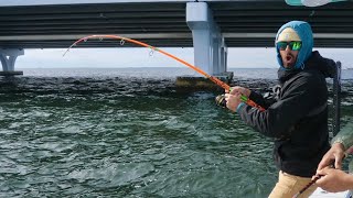 WE FOUND THE BRIDGE MONSTER  Biggest One I’ve EVER Caught UNREAL NEW PB x2 [upl. by Allyn532]