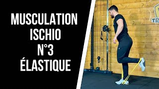 🔥MUSCULATION ISCHIO N°3  avec ELASTIQUE  Séance de 10 min [upl. by Annoyed]