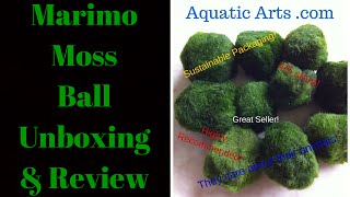 Marimo Moss Ball Unboxing Aquatic Arts amp Review [upl. by Harolda]