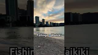 Sunrise Fishing at Waikiki fishing waikiki oahu sunrise beach diamondhead viralshort waves [upl. by Liryc]