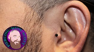 The Whole Truth  Tragus Piercing [upl. by Robbins523]