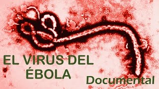 EL VIRUS ÉBOLA  DOCUMENTAL en Castellano NatGeo [upl. by Terrijo]