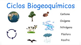 ♻️ Ciclos Biogeoquímicos  BiologíayEcología [upl. by Lotty]