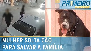 Dona da pitbull que salvou família de roubo fala sobre o caso  Primeiro Impacto 181124 [upl. by Eeima]