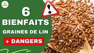 GRAINES DE LIN 6 BIENFAITS ET 4 DANGERS POUR LA SANTÉ [upl. by Tammi]