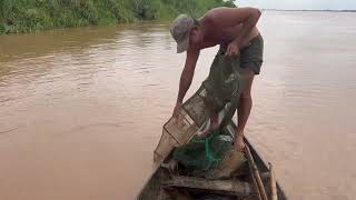 My lucky day Macrognathus Of Cambodia fishingvideo fish lucky day lifestyle fishinglife [upl. by Einreb]