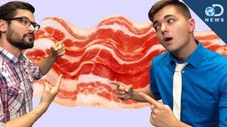 SourceFed Vs DNews The Ol Bacon Debate [upl. by Akinot]