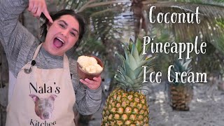 Episode 19 Pineapple Coconut Ice Cream [upl. by Nnaitsirk763]