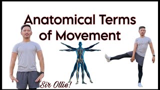 Anatomical Terms of Movement [upl. by Wylie122]