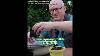 Georgs erste Hanfpflanzen 🌱  Clip aus den DHVNews 420 vom 030524 [upl. by Stefanac]