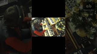 PROG DIGRESSIONS music synth hammondorgan shorts [upl. by Fogel]