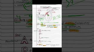 Anti phospholipid antibody syndrome [upl. by Steffy]