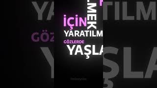 Yok Yok Yalan Deme  Lyrics [upl. by Schilling]