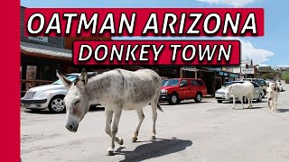 OATMAN ARIZONA [upl. by Sapphira]