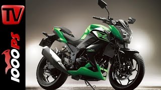 Kawasaki Z 300 2015  Specs Price Release [upl. by Hairaza]