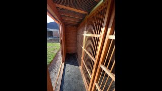 The Dos and Donts of Pigeon Loft Design [upl. by Enehpets]