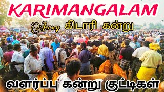 karimangalam market Jersey cow price details காரிமங்கலம் மாட்டு சந்தை தருமபுரி மாவட்டம் [upl. by Ykciv]