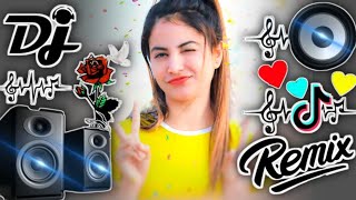 Munda Gora Rang Dekh Ke Diwana Ho Gaya ❣️❣️ Dj Song💙  Old Hindi Dj Song 🥀  Dj Remix Song 2024 [upl. by Notxam478]