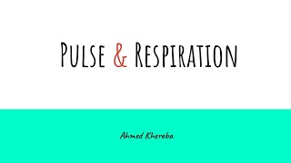 شرح سكشن الـ Pulse amp Respiration  كورس Fundamental of Nursing [upl. by Adis]