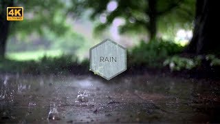 Rain 4K 3D surrounding sound video [upl. by Appleby]