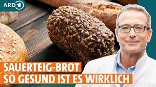 Sauerteigbrot Warum es weniger Gluten enthält und beim Abnehmen hilft I ARD Gesund [upl. by Ydniw]