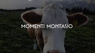 Formaggio Montasio e il suo territorio [upl. by Drusy]