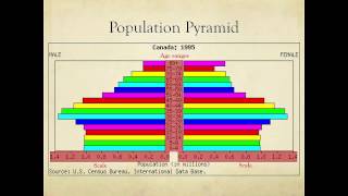 What are Population Pyramids [upl. by Crutcher806]