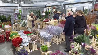 New Covent Garden turns 50 years old UK 11Nov2024 [upl. by Ayinat]