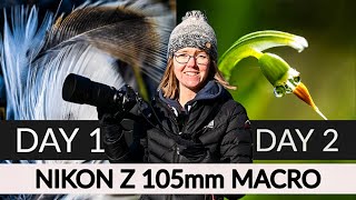 2 Days of Macro Photography with the Nikon Z 105mm Lens [upl. by Yesllek537]