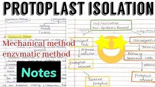 Protoplast Isolation Mechanical ampEnzymatic method plant biotechnologynotes 😎🤩 [upl. by Akinaj939]