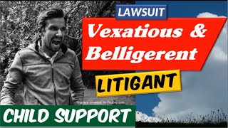 Required By The Constitution To Be Belligerent and Vexatious to Challenge The Judge SIMP [upl. by Alema]