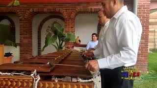 TEHUANTEPEC  MARIMBA TÍPICA DE TOLUCA [upl. by Tebor]