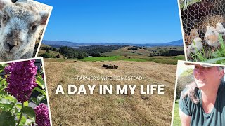 A DITL OF A FARMERS WIFE IN NEW ZEALAND [upl. by Hairu]