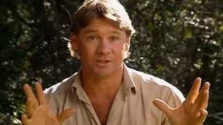 The Crocodile HunterSteves Greatest Crocodile Captures 48 [upl. by Loveridge]