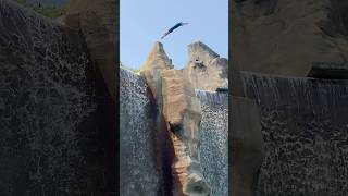 Cliff Diving  Canada’s Wonderland  Jumping Off The Cliff  Waterfall  Canada [upl. by Bristow]