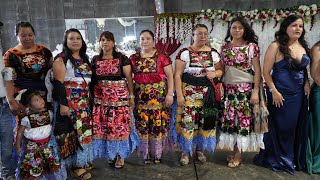 El baile final con grupo tam y Tex en la boda de Antonio y Maria Elena [upl. by Rentschler]