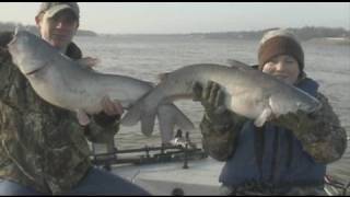 Ohio River Blue Catfish [upl. by Doley]