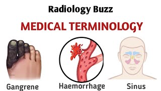 Medical Terminology [upl. by Niccolo]