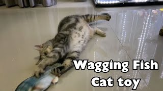 Wagging Fish Cat toy [upl. by Anirbes]