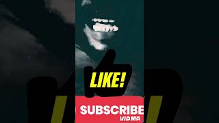 🤣🤣🤣🤣🤣🤣 paaavam paa pona pogattum subscrib panividunga [upl. by Fridlund326]