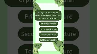The alphahelix and betasheets are found in which level of protein structure [upl. by Eceela]